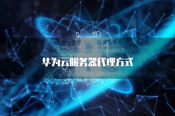 华为云服务器代理方式