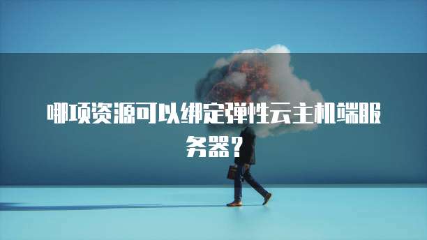 哪项资源可以绑定弹性云主机端服务器？