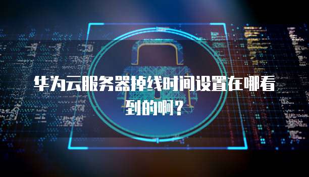 华为云服务器掉线时间设置在哪看到的啊？