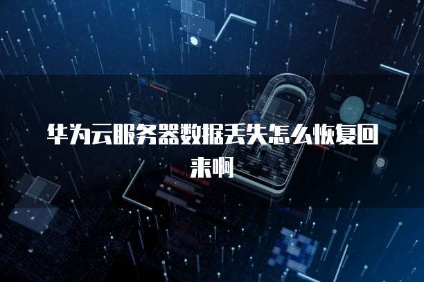 华为云服务器数据丢失怎么恢复回来啊