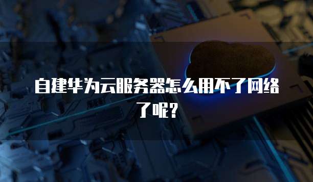 自建华为云服务器怎么用不了网络了呢？