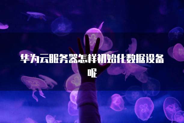 华为云服务器怎样初始化数据设备呢