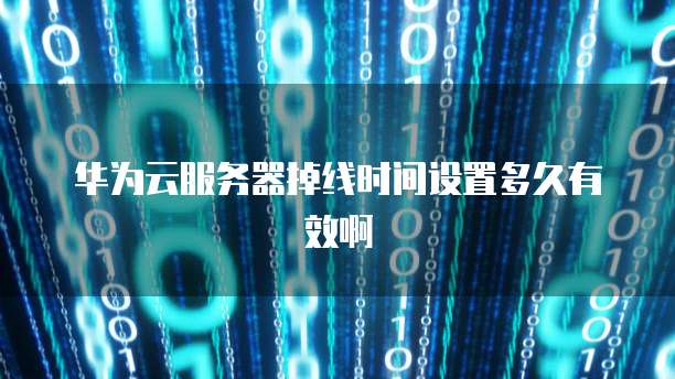 华为云服务器掉线时间设置多久有效啊