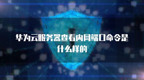 华为云服务器查看内网端口命令是什么样的