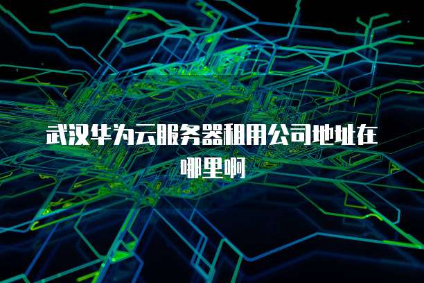 武汉华为云服务器租用公司地址在哪里啊