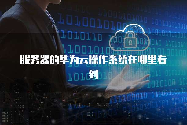 服务器的华为云操作系统在哪里看到