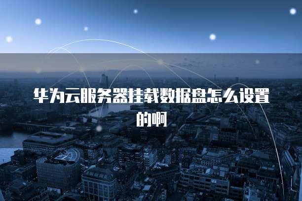 华为云服务器挂载数据盘怎么设置的啊