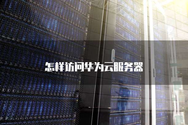 怎样访问华为云服务器