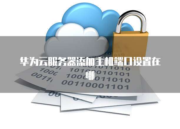 华为云服务器添加主机端口设置在哪