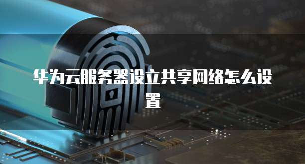 华为云服务器设立共享网络怎么设置