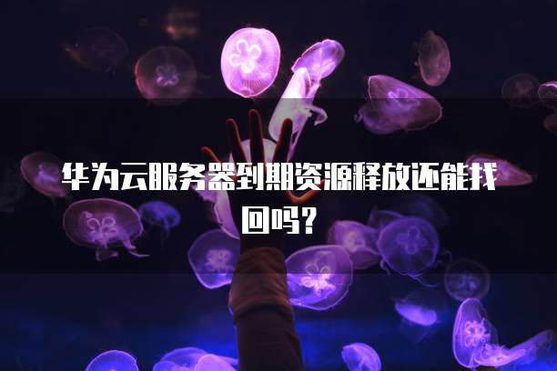 华为云服务器到期资源释放还能找回吗？