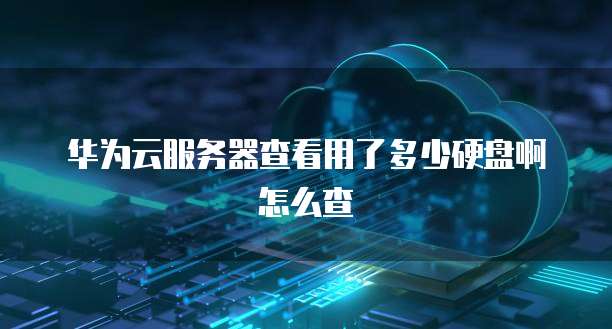 华为云服务器查看用了多少硬盘啊怎么查