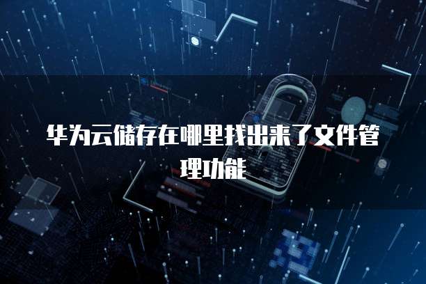 华为云储存在哪里找出来了文件管理功能