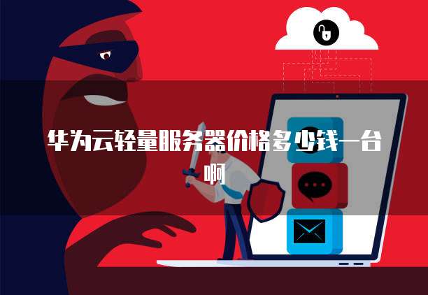 华为云轻量服务器价格多少钱一台啊