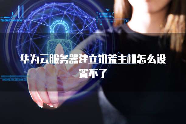 华为云服务器建立饥荒主机怎么设置不了
