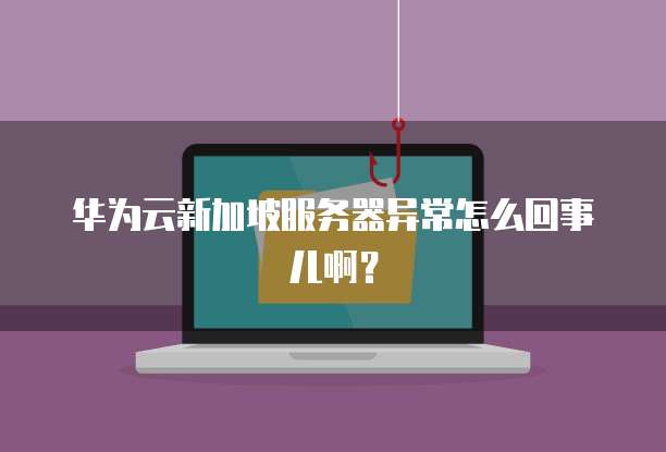 华为云新加坡服务器异常怎么回事儿啊？