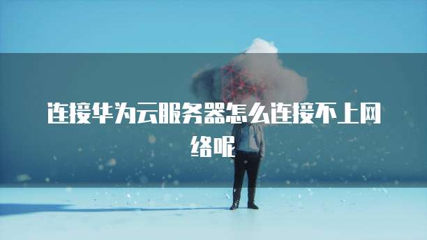 连接华为云服务器怎么连接不上网络呢