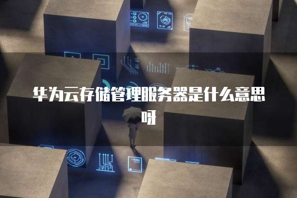 华为云存储管理服务器是什么意思呀