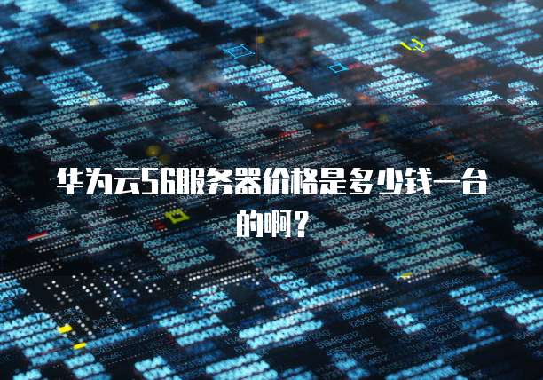 华为云S6服务器价格是多少钱一台的啊？