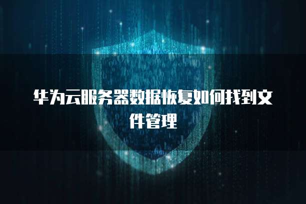 华为云服务器数据恢复如何找到文件管理