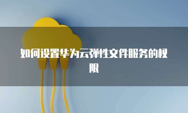 如何设置华为云弹性文件服务的权限