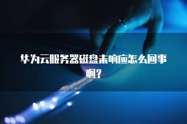 华为云服务器磁盘未响应怎么回事啊？