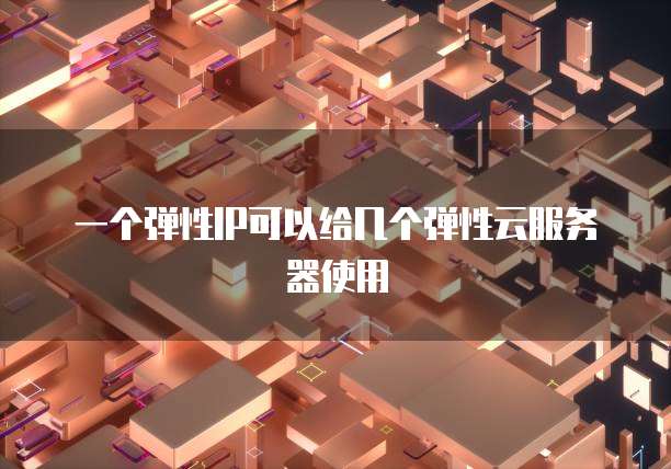 一个弹性IP可以给几个弹性云服务器使用