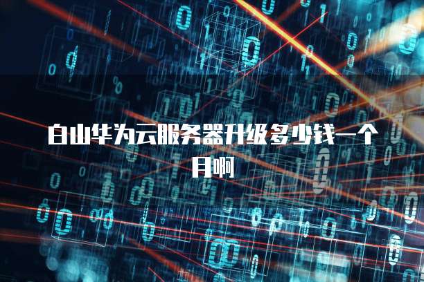 白山华为云服务器升级多少钱一个月啊