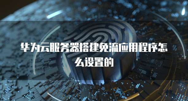 华为云服务器搭建免流应用程序怎么设置的