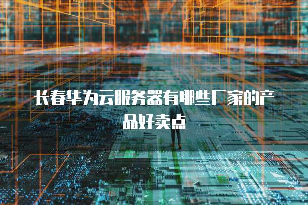 长春华为云服务器有哪些厂家的产品好卖点