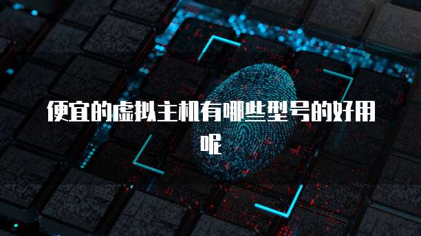 便宜的虚拟主机有哪些型号的好用呢