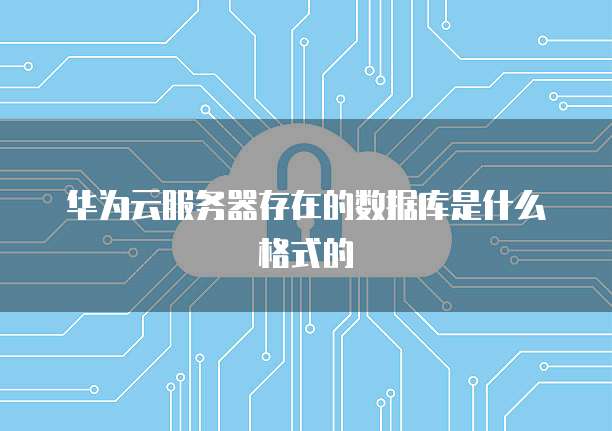 华为云服务器存在的数据库是什么格式的