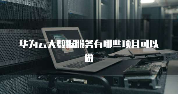 华为云大数据服务有哪些项目可以做