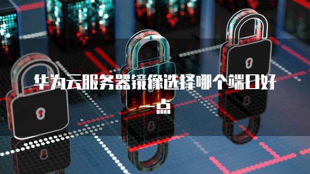 华为云服务器镜像选择哪个端口好一点