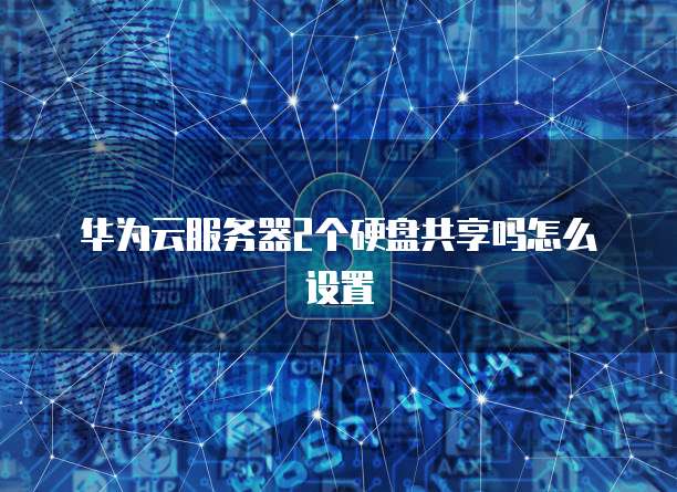 华为云服务器2个硬盘共享吗怎么设置
