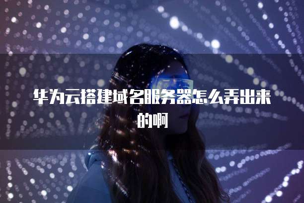 华为云搭建域名服务器怎么弄出来的啊