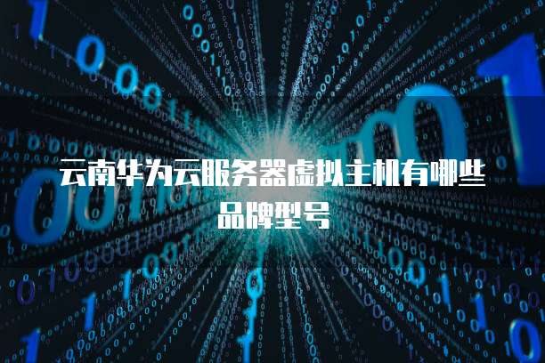 云南华为云服务器虚拟主机有哪些品牌型号