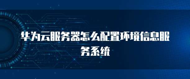 华为云服务器怎么配置环境信息服务系统