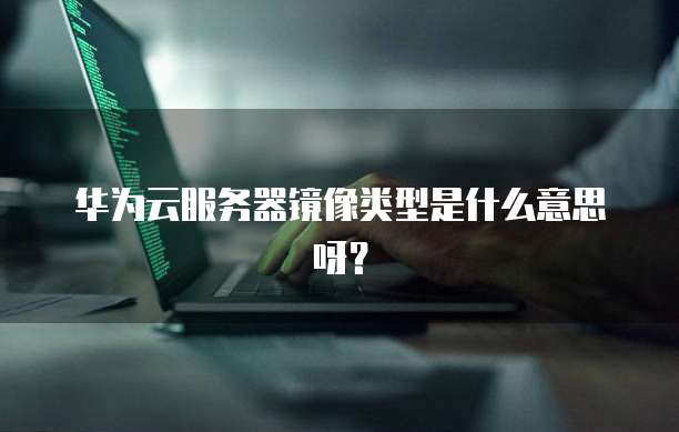 华为云服务器镜像类型是什么意思呀？