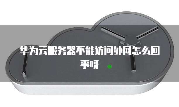 华为云服务器不能访问外网怎么回事呀