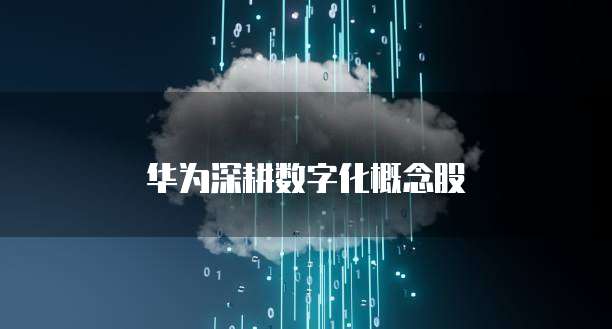 华为深耕数字化概念股