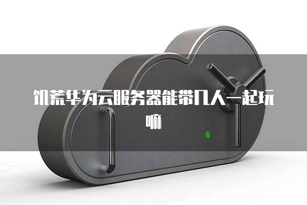 饥荒华为云服务器能带几人一起玩嘛