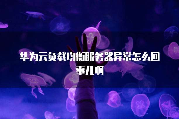 华为云负载均衡服务器异常怎么回事儿啊