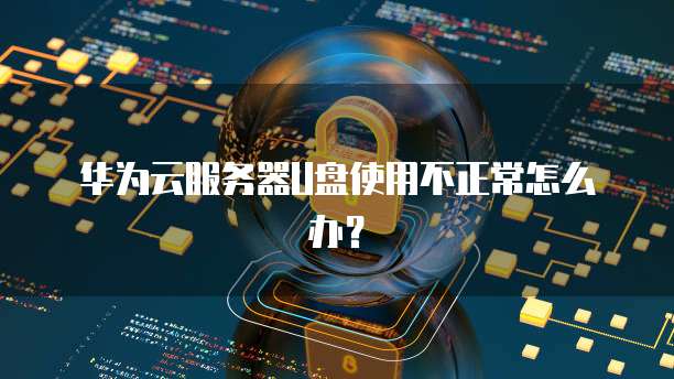 华为云服务器U盘使用不正常怎么办？