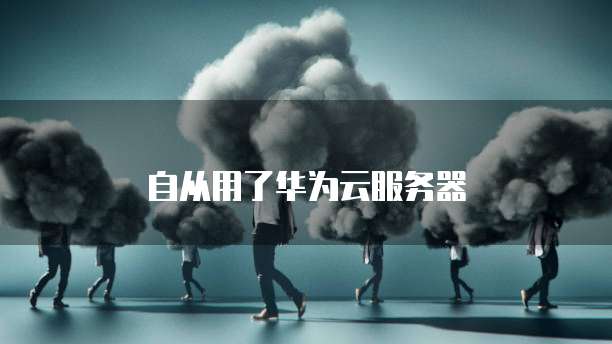 自从用了华为云服务器