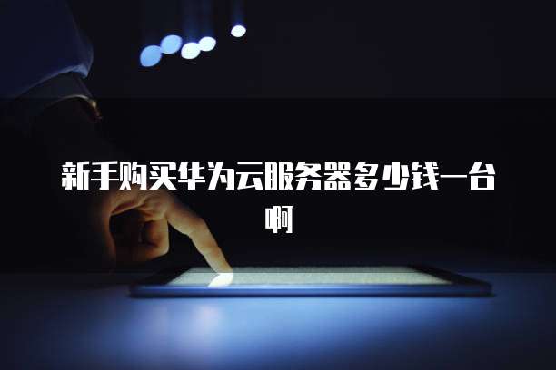 新手购买华为云服务器多少钱一台啊
