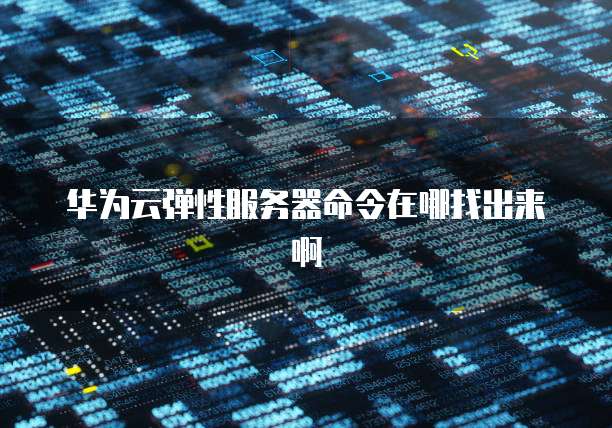 华为云弹性服务器命令在哪找出来啊