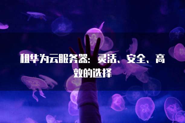 租华为云服务器：灵活、安全、高效的选择
