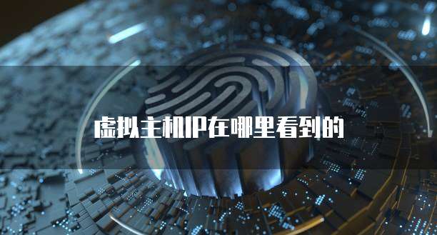 虚拟主机IP在哪里看到的