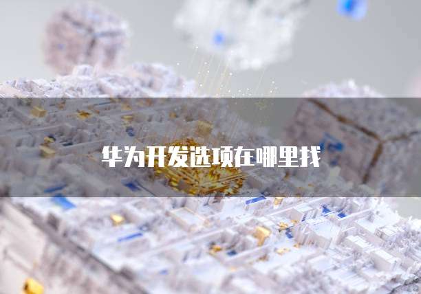华为开发选项在哪里找